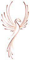 Comprehensive Body Connections Logo